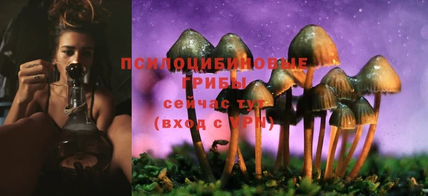 mdma Козельск